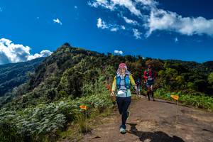 BIB: 
                            <button type="button" onclick="openModal(19039959)" class="btn btn-primary btn-sm float-right btn-popup" data-toggle="modal" data-target=".modal-high-quality">
                        <i class="fas fa-shopping-cart"></i> Add to Cart
                    </button>
                                            <button type="button" onclick="isThisMe(19039959, true)" class="btn btn-success btn-sm float-right btn-popup btn-isme hidden" data-toggle="tooltip" data-placement="bottom" title="นี่คือรูปของคุณใช่ไหม คลิกที่นี่เพื่อเอาเข้าอัลบั้ม">
                        <i class="fas fa-plus"></i> Add to album
                    </button>
                    <button type="button" onclick="isThisMe(19039959, false)" class="btn btn-warning btn-sm float-right btn-popup btn-isnotme hidden">
                        <i class="fas fa-ban"></i> Remove from album
                    </button>